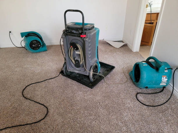 Carpet water damage restoration in VA