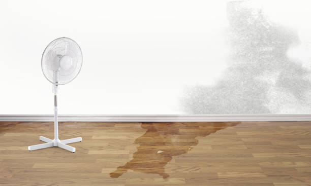 Best Fire Damage Restoration  in Kings Park, VA