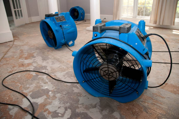 Best Local water damage restoration  in Kings Park, VA